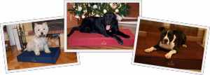 Ajándék-kutyáknak-DOGINBED-kutyafekhely-kutyaágy